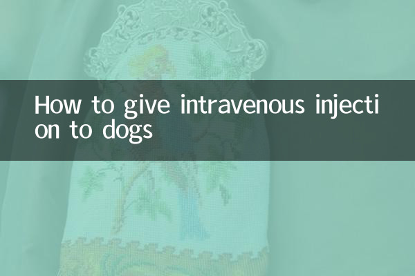 狗怎么静脉注射