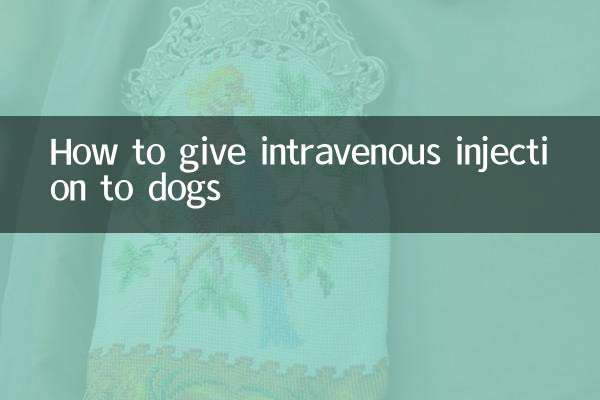狗怎么静脉注射