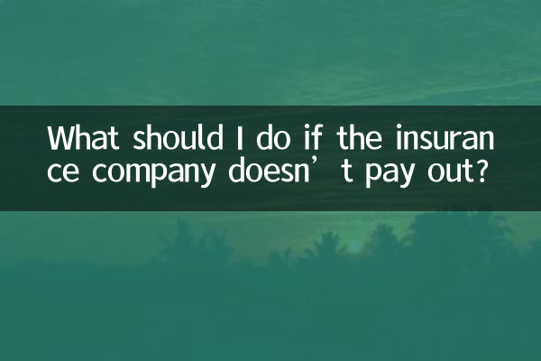 What should I do if the insurance company doesn’t pay out?