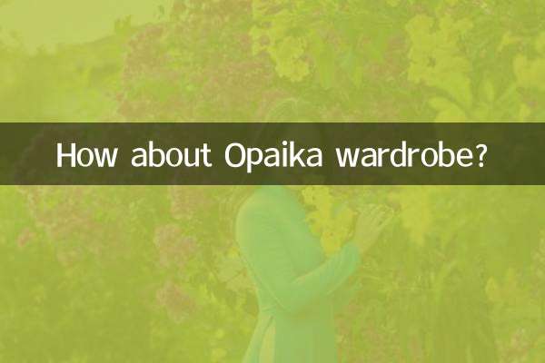 How about Opaika wardrobe?
