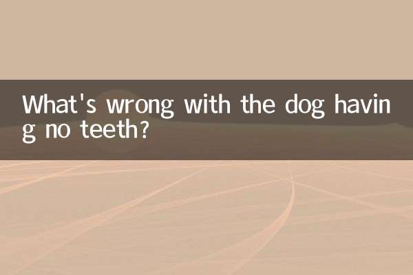 개가 이빨이 없는데 무슨 문제가 있나요?