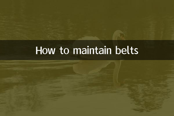 Cómo mantener los cinturones