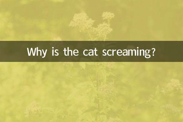 猫はなぜ鳴いているのですか？