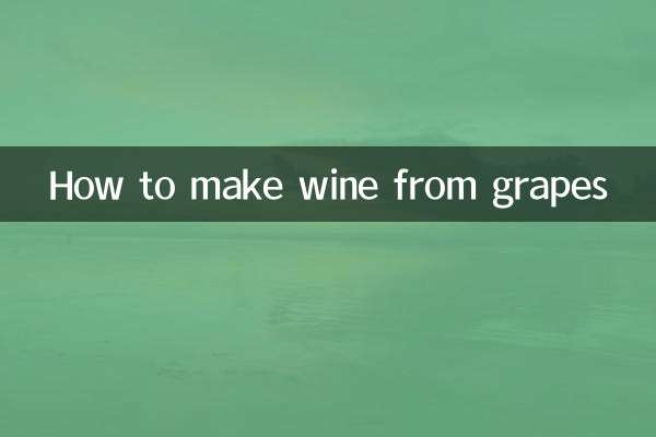 How to make wine from grapes