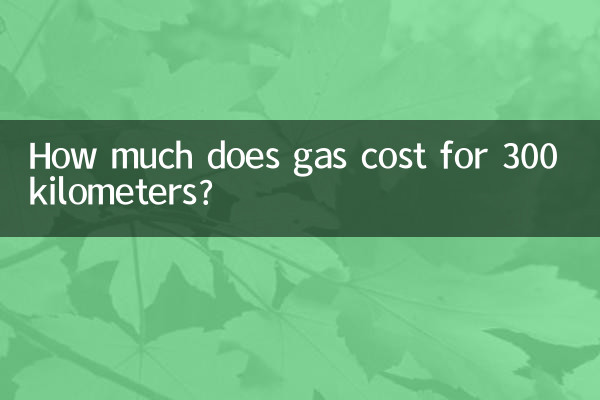 ¿Cuánto cuesta la gasolina por 300 kilómetros?