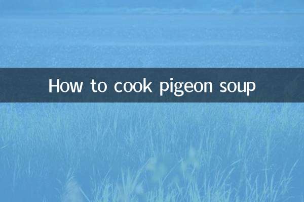 How to cook pigeon soup