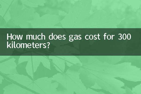 300km를 주행하는 데 휘발유 비용은 얼마입니까?