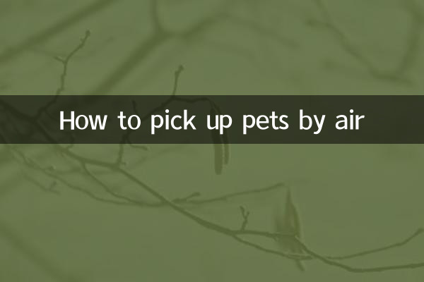 पालतू जानवरों को हवाई मार्ग से कैसे ले जाएं