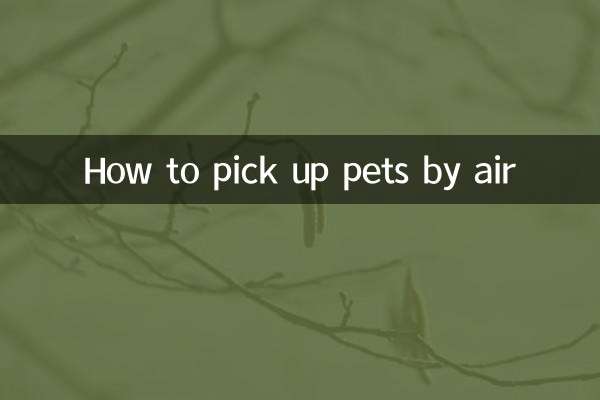 Comment récupérer des animaux par avion