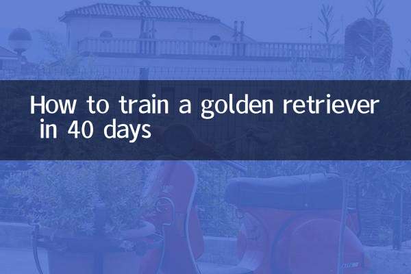 Cómo entrenar a un golden retriever en 40 días