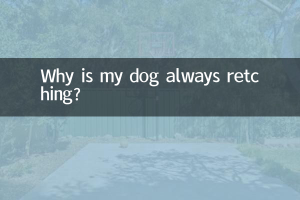 狗狗总是干呕怎么回事