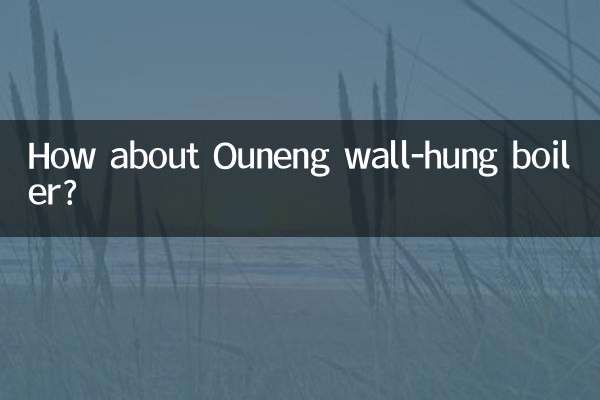 Ouneng دیوار کے ہاتھ والے بوائلر کے بارے میں کیا خیال ہے؟