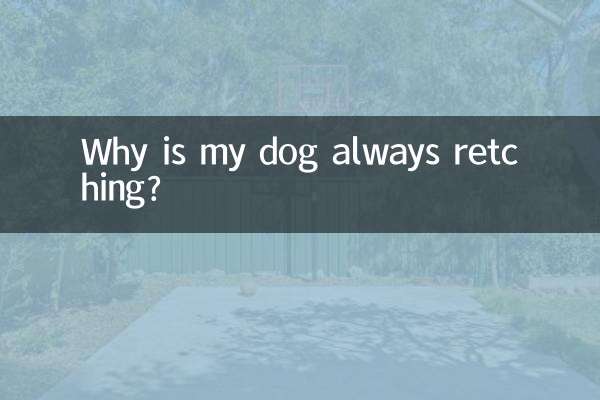 うちの犬がいつもむしゃむしゃするのはなぜですか?