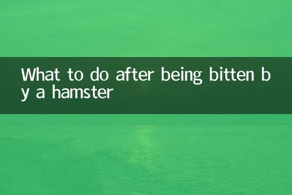 ماذا تفعل بعد أن عضك الهامستر