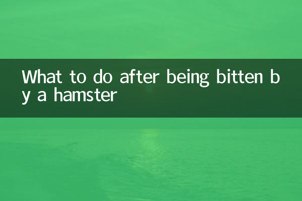 被仓鼠咬后怎么办