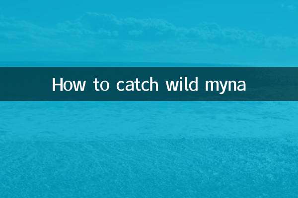 وائلڈ مینا کو کیسے پکڑیں