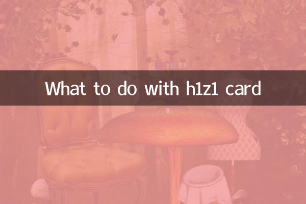 Was tun mit der h1z1-Karte?