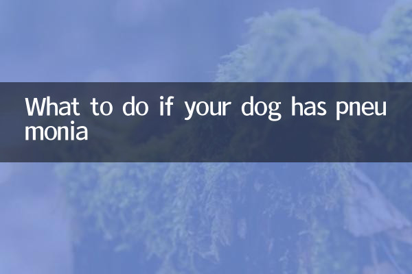 আপনার কুকুরের নিউমোনিয়া হলে কি করবেন