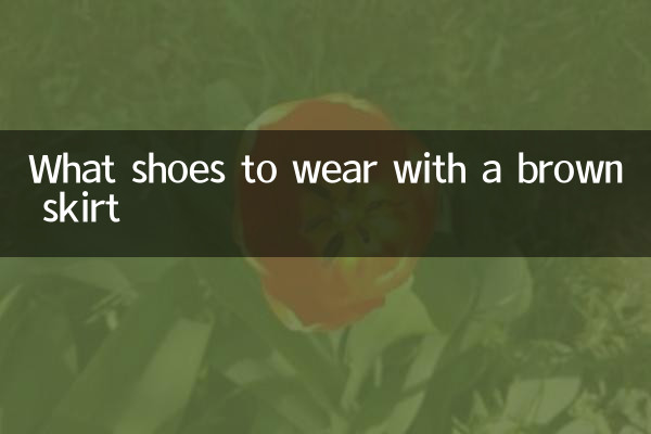Que zapatos llevar con una falda marrón.