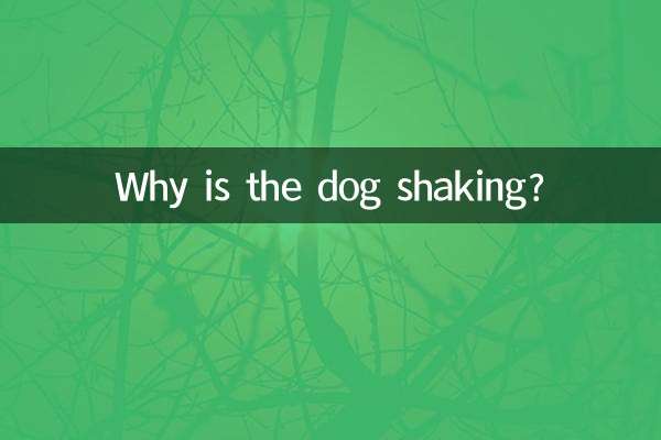 狗发抖怎么回事