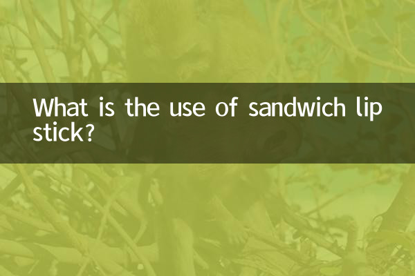 What is the use of sandwich lipstick?