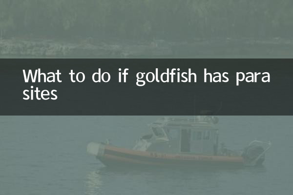 Que faire si le poisson rouge a des parasites