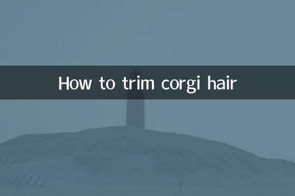 코기 머리 다듬는 방법