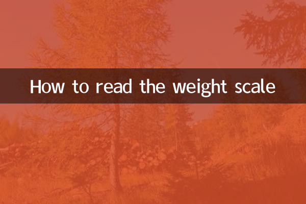 So lesen Sie die Gewichtsskala