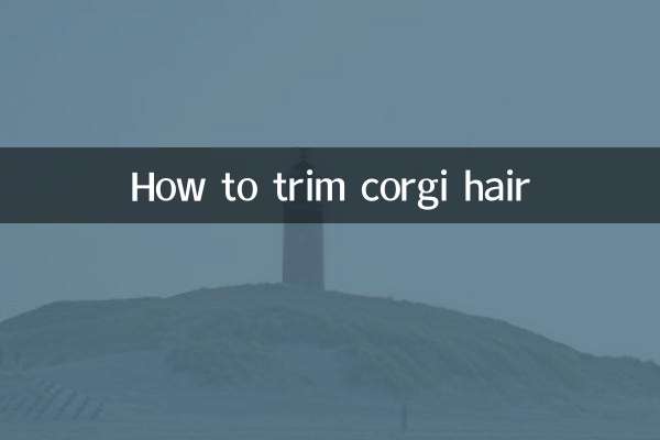 Como aparar cabelo corgi