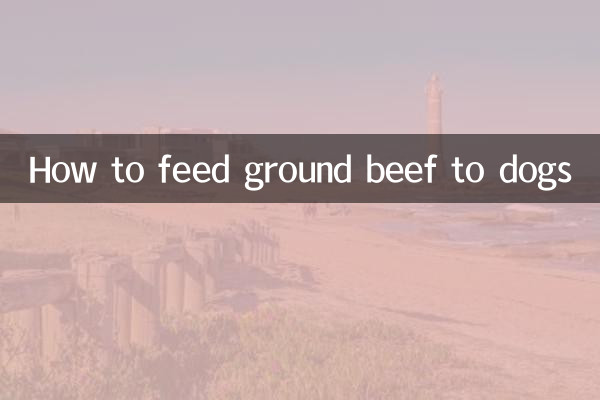 牛肉末怎麼給狗吃