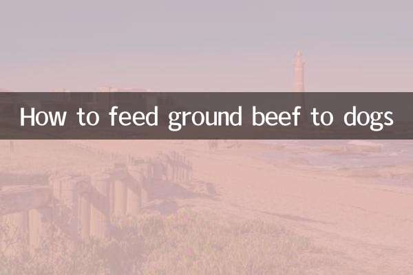牛肉末怎麼給狗吃