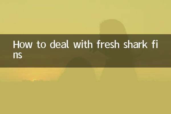 신선한 상어 지느러미를 다루는 방법