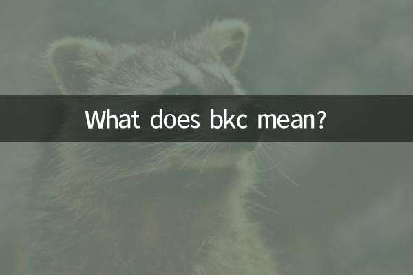 O que significa bkc?