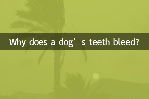 Warum bluten die Zähne eines Hundes?