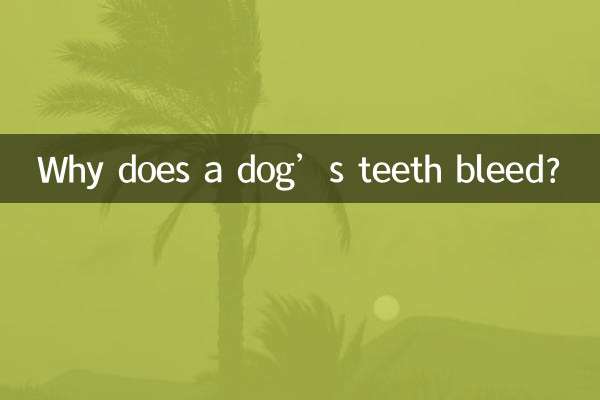 Warum bluten die Zähne eines Hundes?