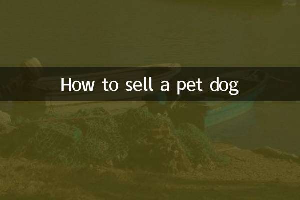 كيفية بيع كلب أليف