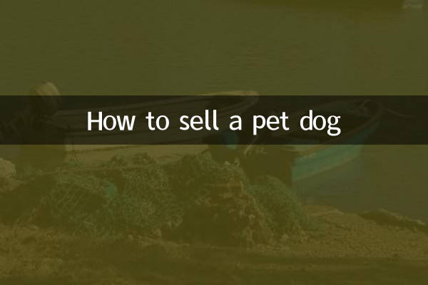 Como vender um cachorro de estimação