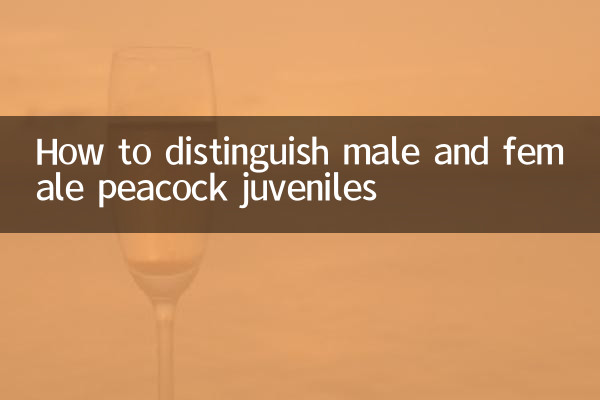 Como distinguir juvenis de pavão machos e fêmeas