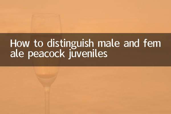 How to distinguish male and female peacock juveniles