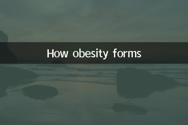 Comment se forme l’obésité