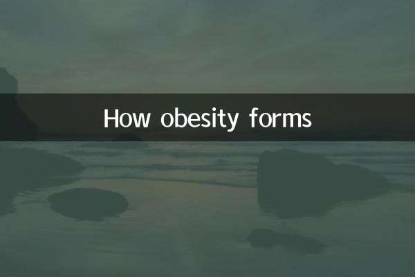 Comment se forme l’obésité