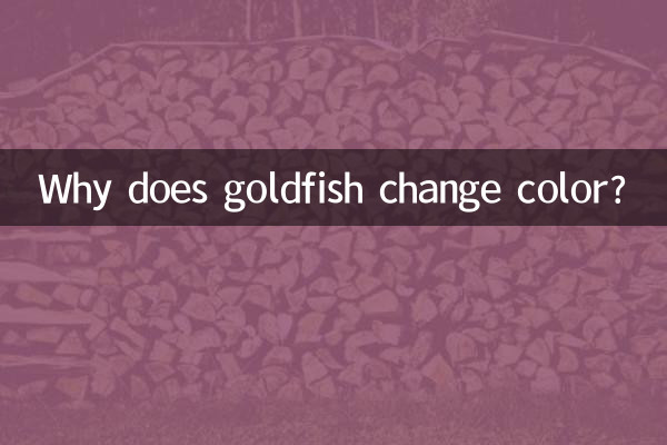 Pourquoi le poisson rouge change-t-il de couleur ?