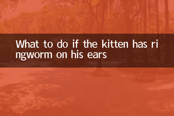 O que fazer se o gatinho tiver micose nos ouvidos