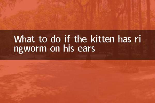 Que faire si le chaton a la teigne sur ses oreilles