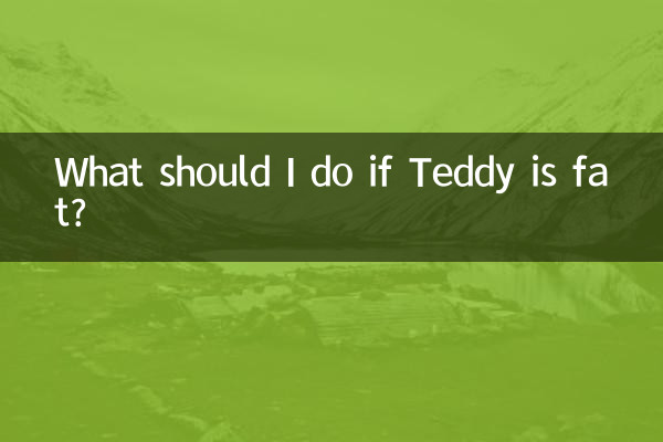 O que devo fazer se Teddy estiver gordo?