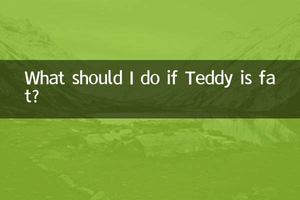 O que devo fazer se Teddy estiver gordo?
