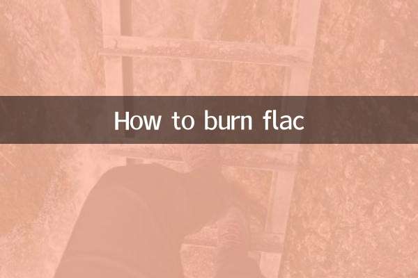 Flac을 태우는 방법