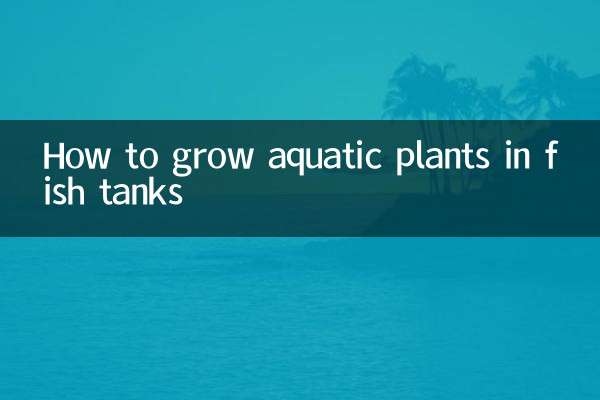 Come coltivare piante acquatiche negli acquari