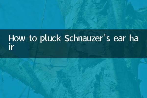 Comment épiler les poils des oreilles du Schnauzer