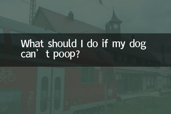 What should I do if my dog ​​can’t poop?